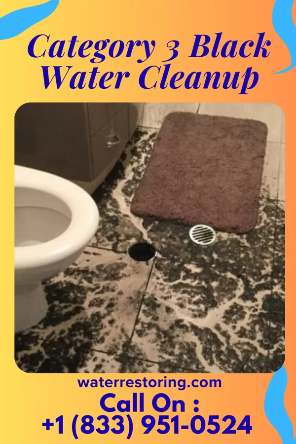 Category 3 Black Water Cleanup in Green Valley, IL