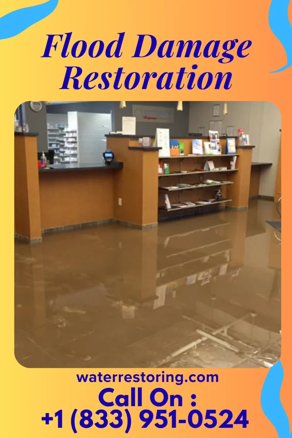 Flood Damage Restoration in Green Valley, IL