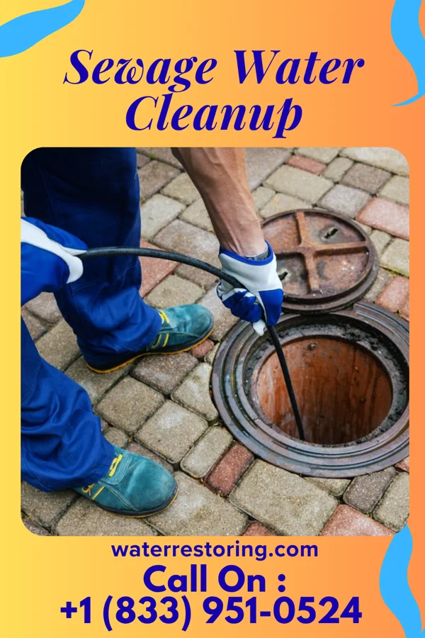 Sewage Water Cleanup in Green Valley, IL